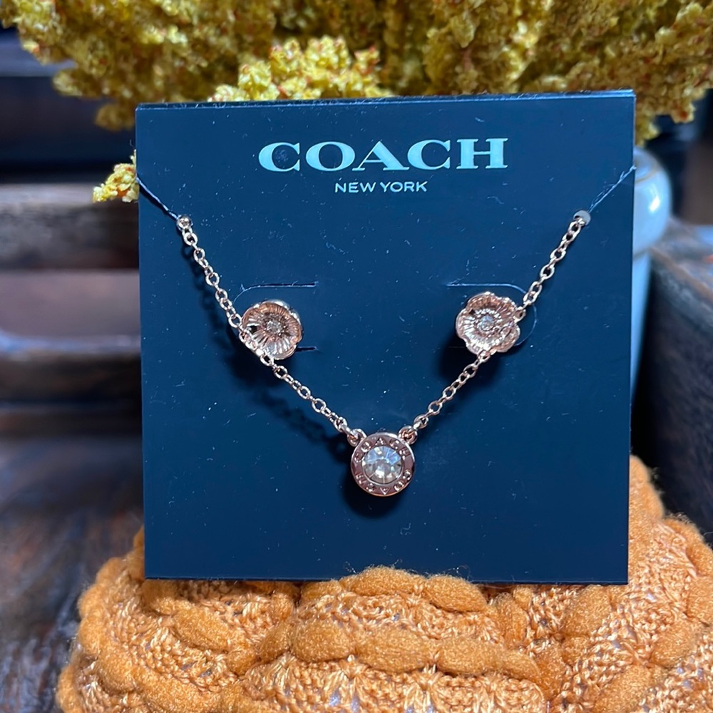 Coach earring and necklace set